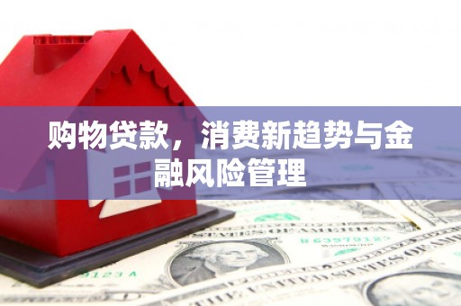 木垒购物贷款，消费新趋势与金融风险管理