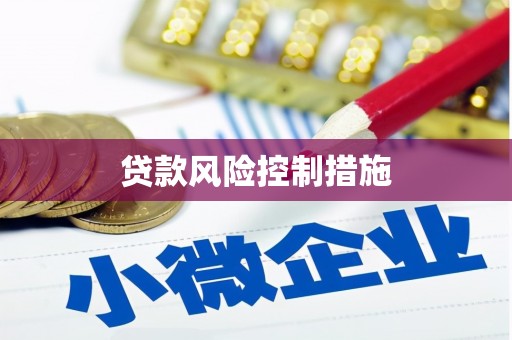 木垒贷款风险控制措施