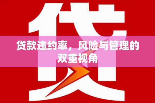 木垒贷款违约率，风险与管理的双重视角