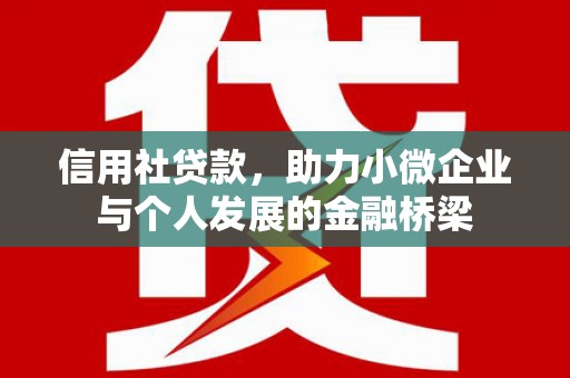 木垒信用社贷款，助力小微企业与个人发展的金融桥梁