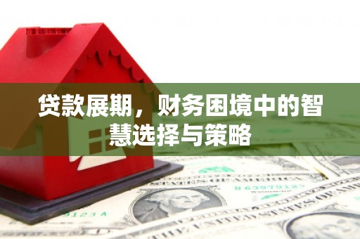 木垒贷款展期，财务困境中的智慧选择与策略
