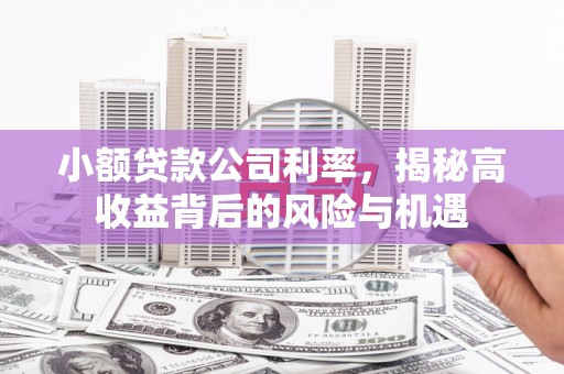 木垒小额贷款公司利率，揭秘高收益背后的风险与机遇