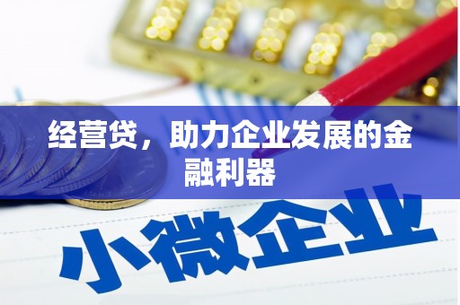 木垒经营贷，助力企业发展的金融利器
