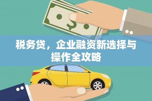木垒税务贷，企业融资新选择与操作全攻略