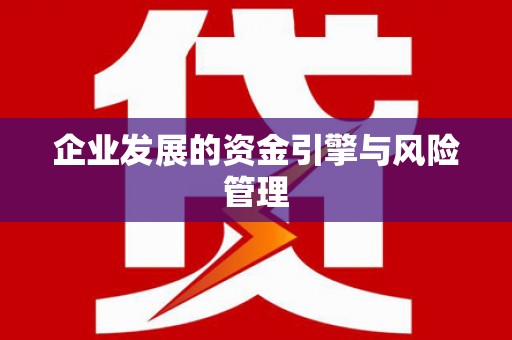 木垒企业发展的资金引擎与风险管理