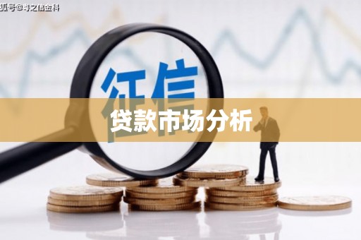 木垒贷款市场分析
