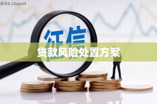 木垒贷款风险处置方案