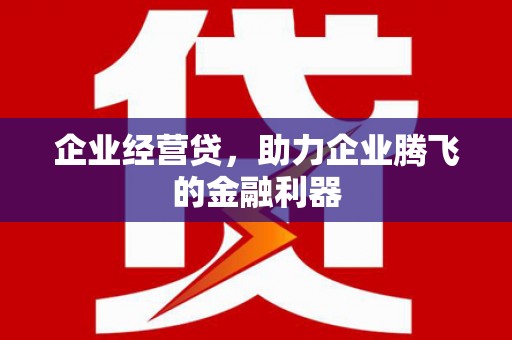 木垒企业经营贷，助力企业腾飞的金融利器