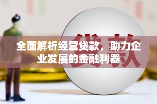 木垒全面解析经营贷款，助力企业发展的金融利器