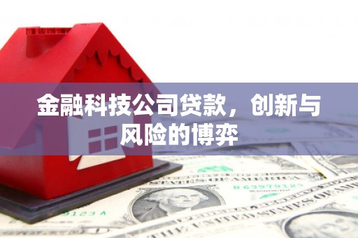木垒金融科技公司贷款，创新与风险的博弈