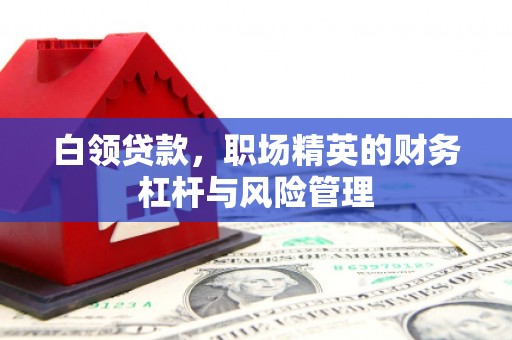 木垒白领贷款，职场精英的财务杠杆与风险管理