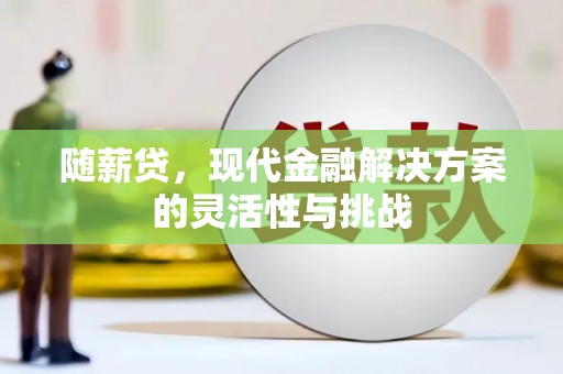 木垒随薪贷，现代金融解决方案的灵活性与挑战