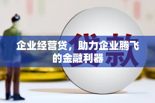 木垒企业经营贷，助力企业腾飞的金融利器