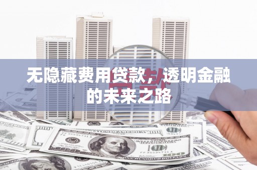 木垒无隐藏费用贷款，透明金融的未来之路