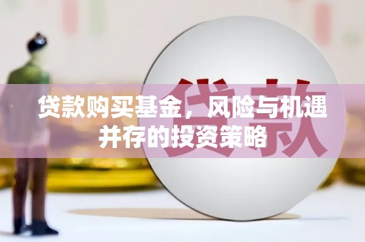 木垒贷款购买基金，风险与机遇并存的投资策略