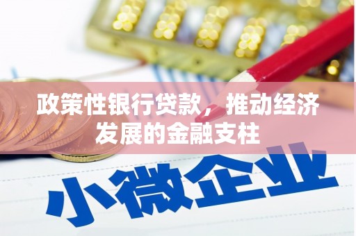 木垒政策性银行贷款，推动经济发展的金融支柱