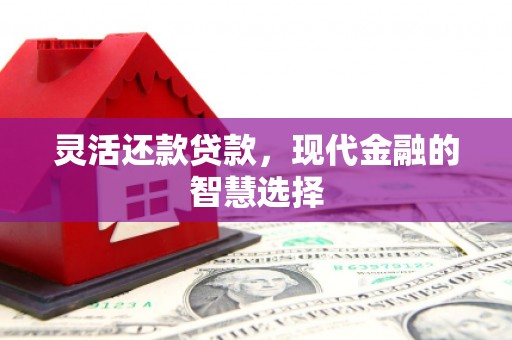 木垒灵活还款贷款，现代金融的智慧选择