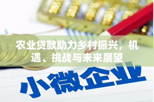 木垒农业贷款助力乡村振兴，机遇、挑战与未来展望