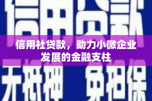 木垒信用社贷款，助力小微企业发展的金融支柱