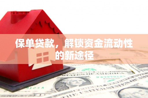 木垒保单贷款，解锁资金流动性的新途径