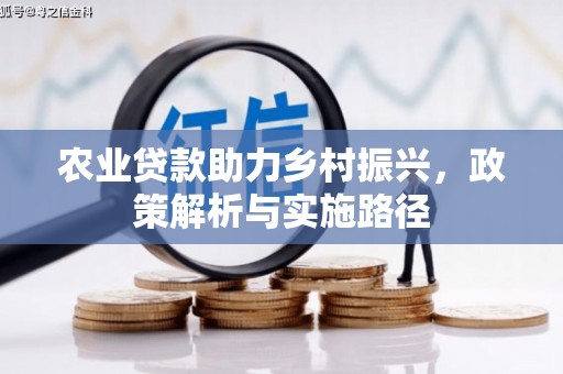 木垒农业贷款助力乡村振兴，政策解析与实施路径