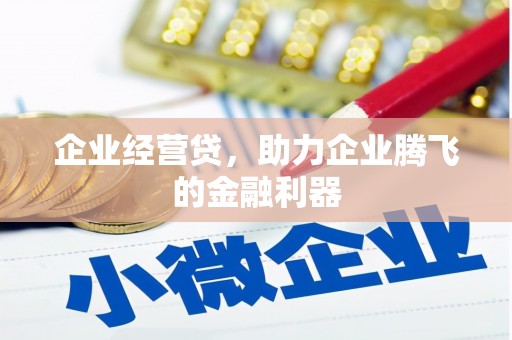 木垒企业经营贷，助力企业腾飞的金融利器