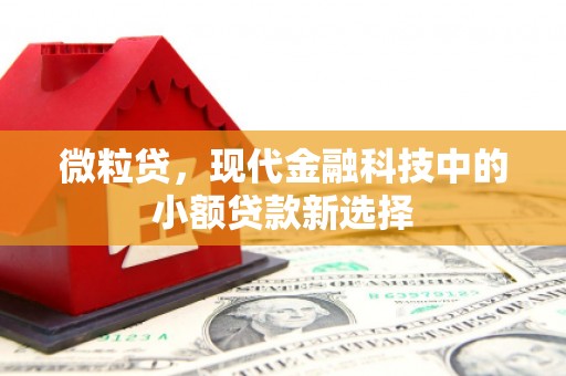 木垒微粒贷，现代金融科技中的小额贷款新选择