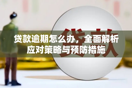 木垒贷款逾期怎么办，全面解析应对策略与预防措施
