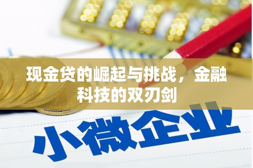 木垒现金贷的崛起与挑战，金融科技的双刃剑
