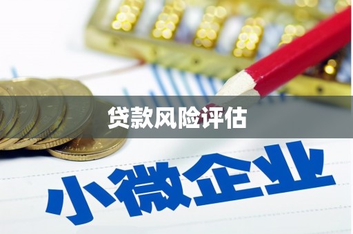 木垒贷款风险评估