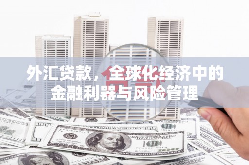 木垒外汇贷款，全球化经济中的金融利器与风险管理
