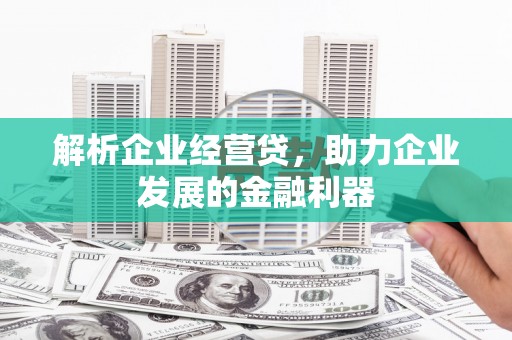 木垒解析企业经营贷，助力企业发展的金融利器