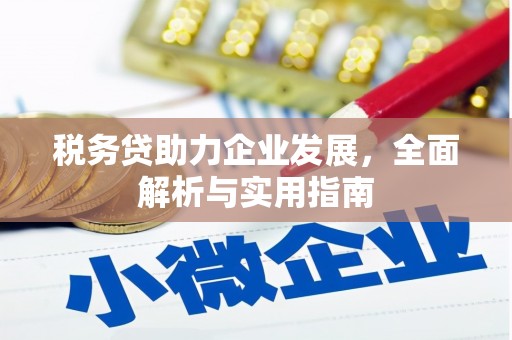 木垒税务贷助力企业发展，全面解析与实用指南