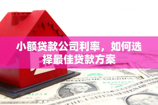 木垒小额贷款公司利率，如何选择最佳贷款方案