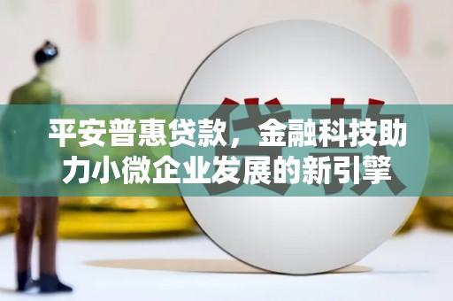 木垒平安普惠贷款，金融科技助力小微企业发展的新引擎