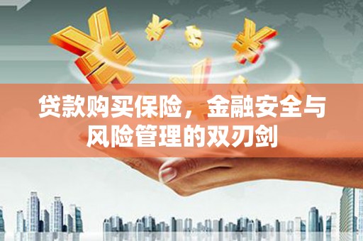 木垒贷款购买保险，金融安全与风险管理的双刃剑