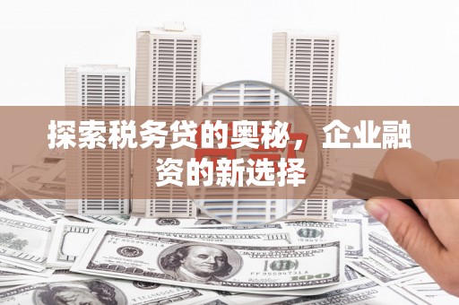 木垒探索税务贷的奥秘，企业融资的新选择
