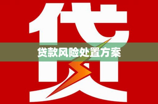 木垒贷款风险处置方案