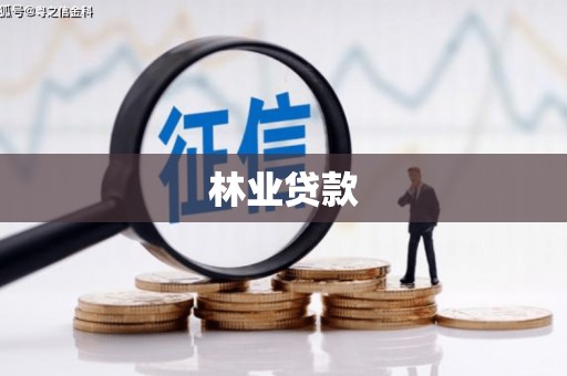 木垒林业贷款