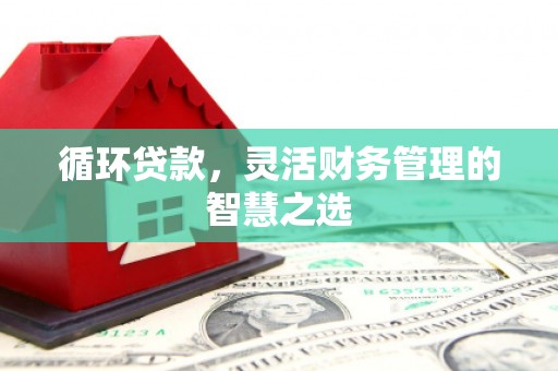 木垒循环贷款，灵活财务管理的智慧之选