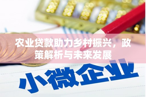 木垒农业贷款助力乡村振兴，政策解析与未来发展