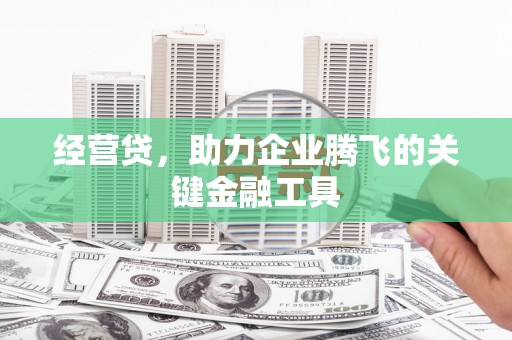 木垒经营贷，助力企业腾飞的关键金融工具