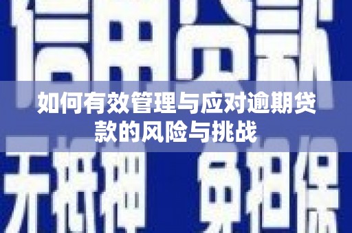 木垒如何有效管理与应对逾期贷款的风险与挑战