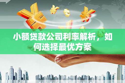 木垒小额贷款公司利率解析，如何选择最优方案