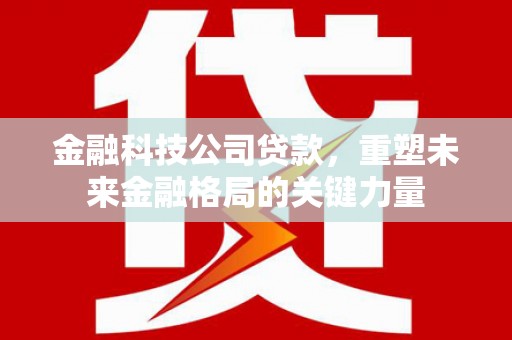 木垒金融科技公司贷款，重塑未来金融格局的关键力量