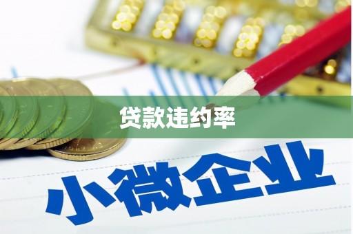 木垒贷款违约率