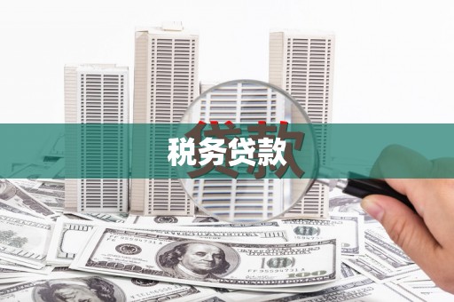 木垒税务贷款