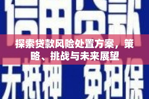 木垒探索贷款风险处置方案，策略、挑战与未来展望