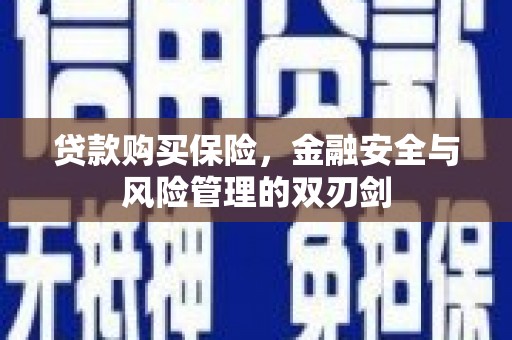 木垒贷款购买保险，金融安全与风险管理的双刃剑