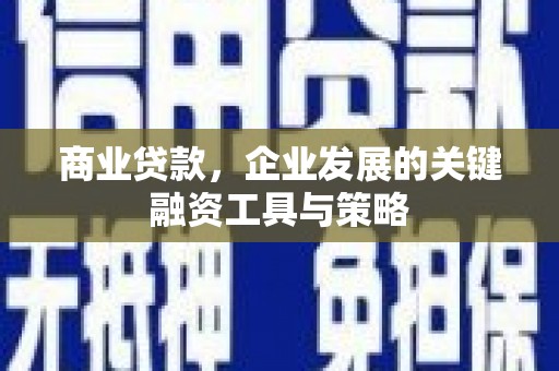 木垒商业贷款，企业发展的关键融资工具与策略